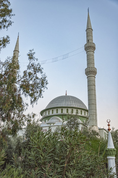 Fatith Mosque in Side Picture Board by Antony McAulay