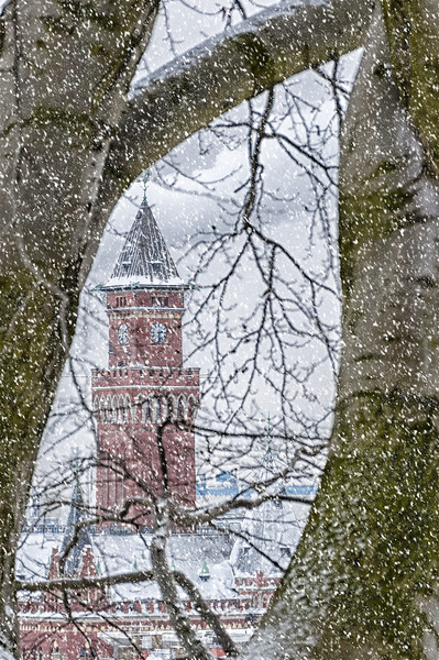 Helsingborg Town Hall Snowing Picture Board by Antony McAulay