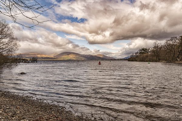 View of loch lomond Picture Board by Antony McAulay
