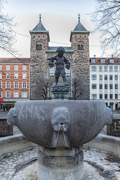 Copenhagen Eliaskirken Fountain Picture Board by Antony McAulay