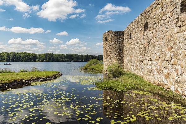 Kronobergs Castle Ruin Lakeview Picture Board by Antony McAulay