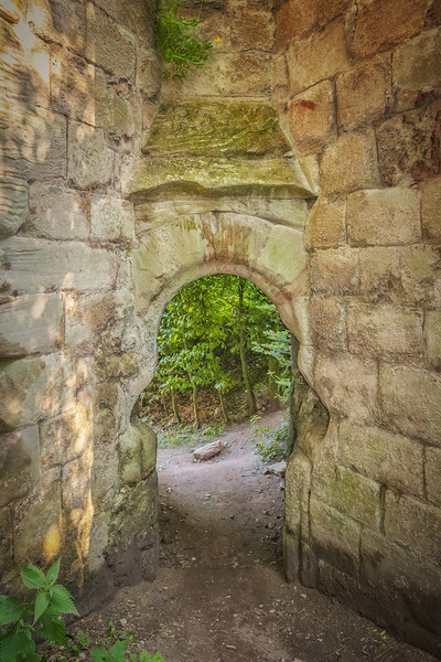 Rosslyn Castle Forest Entry Picture Board by Antony McAulay