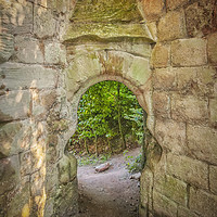 Buy canvas prints of Rosslyn Castle Forest Entry by Antony McAulay