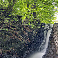 Buy canvas prints of Forsakar Waterfall in Skane by Antony McAulay