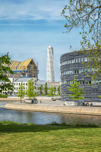 Malmo City Courthouse and Turning Torso Picture Board by Antony McAulay