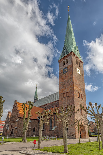 Helsingor Saint Olaf Church Picture Board by Antony McAulay