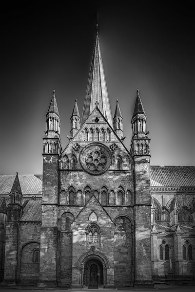 Trondheim Nidaros Cathedral Side Facade Picture Board by Antony McAulay