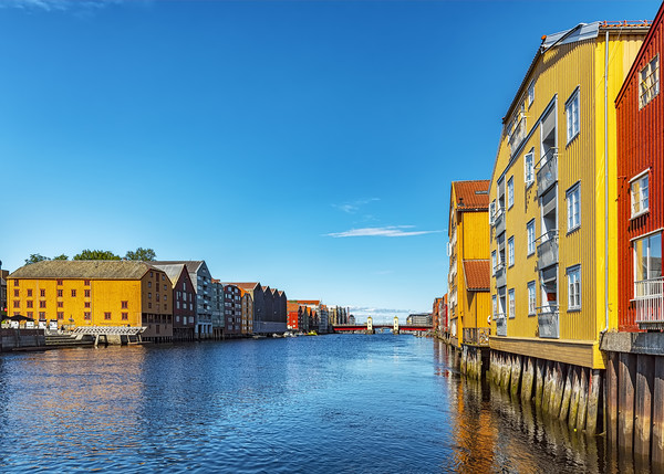 Trondheim Riverside Dockside Warehouses Picture Board by Antony McAulay