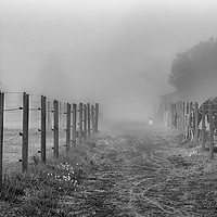Buy canvas prints of Foggy Morning Country Lane by Antony McAulay