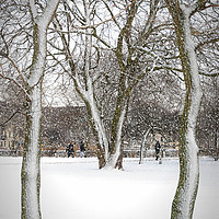 Buy canvas prints of Helsingborg Stadsparken in Winter by Antony McAulay