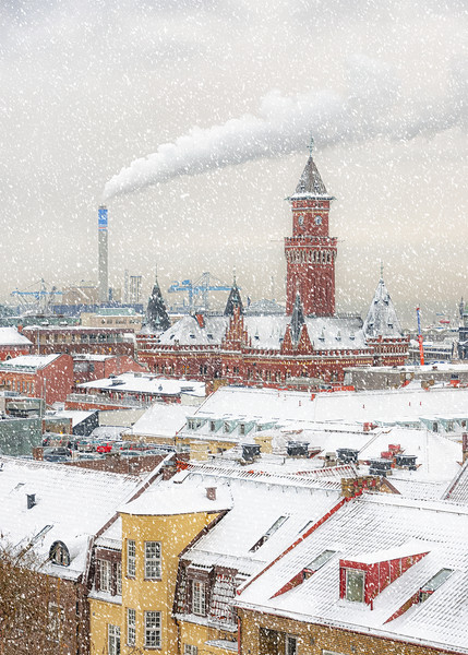 Helsingborg Wintry Rooftops Picture Board by Antony McAulay