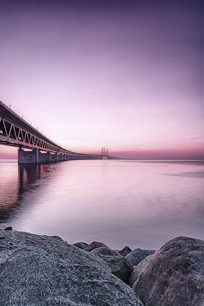 Oresunds Bridge at Sunset in Purple Picture Board by Antony McAulay