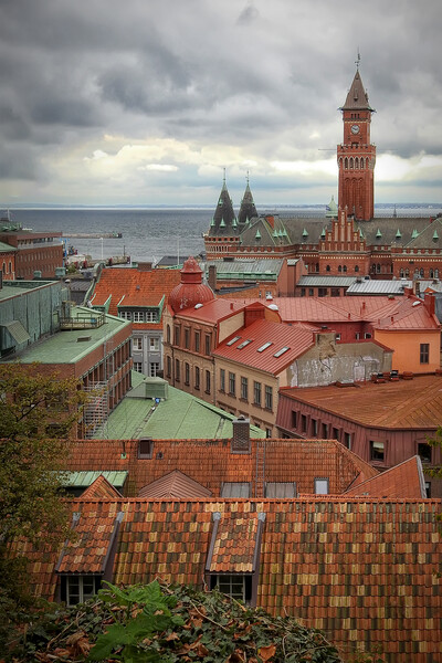 Rooftops of Helsingborg Picture Board by Antony McAulay
