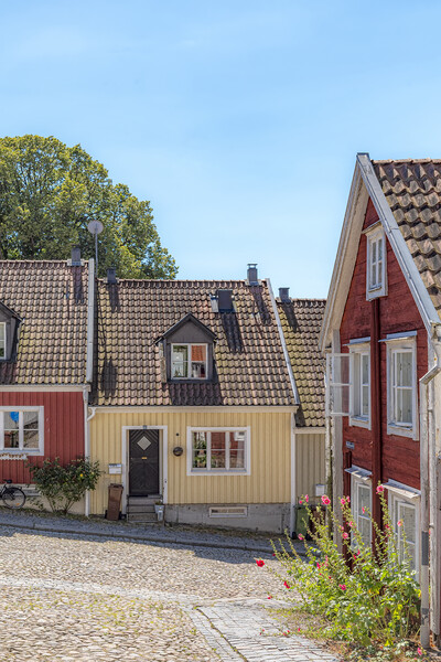 Ronneby Street on a Slope View Picture Board by Antony McAulay