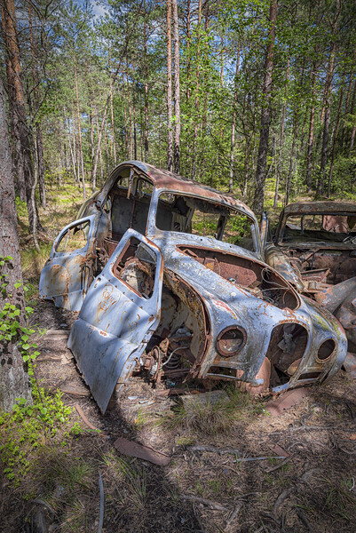 Kirkoe Mosse Bilkyrkogard Falling Apart Cars Picture Board by Antony McAulay