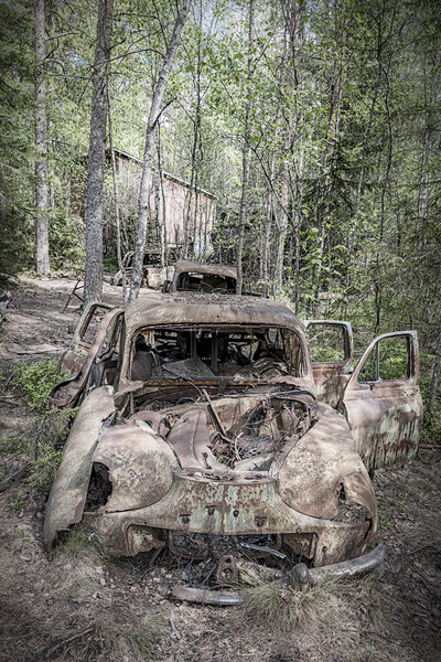 Kirkoe Mosse Bilkyrkogard Rusting Cars Picture Board by Antony McAulay