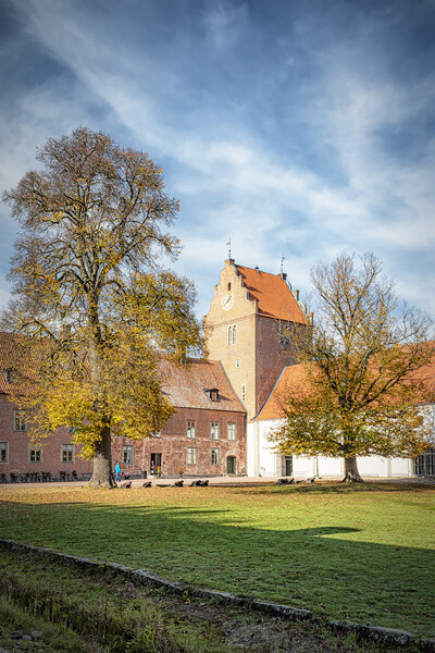 Backaskog Castle Courtyard Trees Picture Board by Antony McAulay