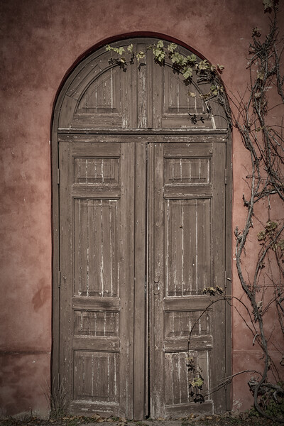 Backaskog Castle Garden Wall Door Picture Board by Antony McAulay