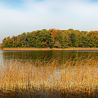 Buy canvas prints of Autumn Lake Panorama by Antony McAulay