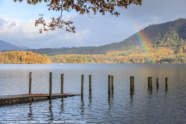 Sunken Jetty on Derwent Water with Rainbow Picture Board by David Morton