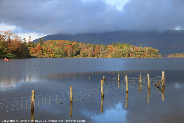 Derwent Water in the Autumn Picture Board by David Morton