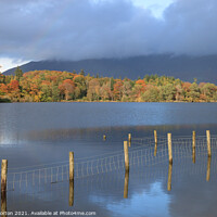Buy canvas prints of Derwent Water in the Autumn by David Morton