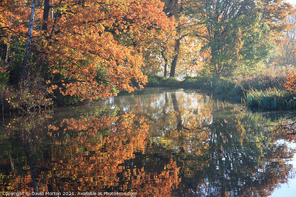 Autumn Reflections Picture Board by David Morton