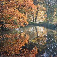 Buy canvas prints of Autumn Reflections by David Morton