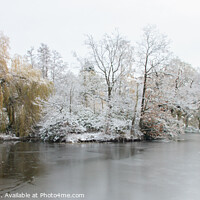 Buy canvas prints of Pond and Trees in Winter by David Morton