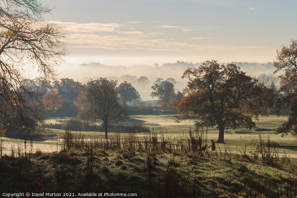 Autumn Mist on Tarporley Golf Course Picture Board by David Morton