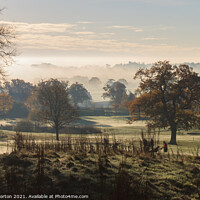Buy canvas prints of Autumn Mist on Tarporley Golf Course by David Morton