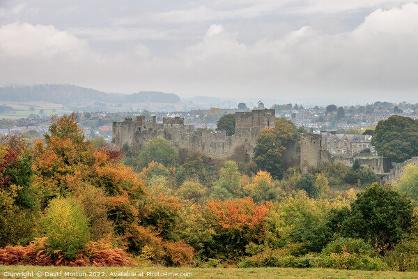 Ludlow Castle in the Autumn Picture Board by David Morton