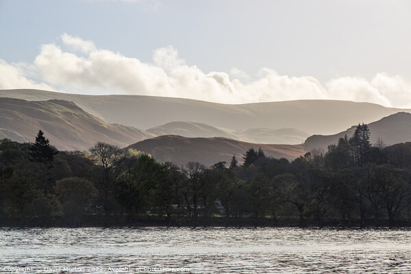 Martindale Common from Ullswater Ferry Picture Board by David Morton