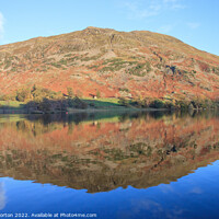 Buy canvas prints of Place Fell reflected in Ullswater by David Morton