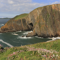 Buy canvas prints of Baggy Point in the Spring by David Morton