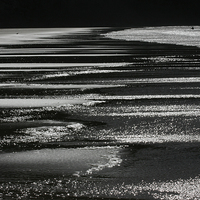 Buy canvas prints of  Ripples in the Sand by David Morton