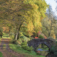Buy canvas prints of  Autumn at Castle Hill Gardens by David Morton