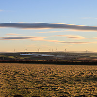 Buy canvas prints of Fullabrook Wind Farm on a January Morning by David Morton