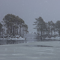 Buy canvas prints of Trees on Loch Ossian in Winter by David Morton