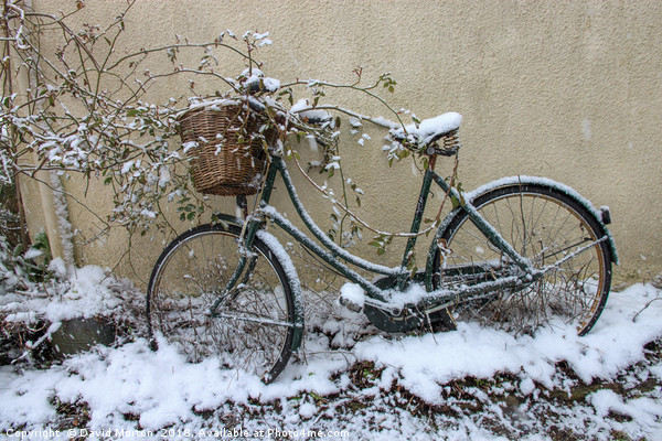 Bicycle in the Snow Picture Board by David Morton