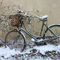 Buy canvas prints of Bicycle in the Snow by David Morton