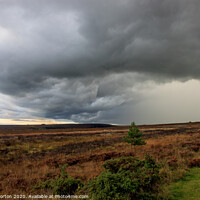 Buy canvas prints of Dark Clouds over the North York Moors by David Morton