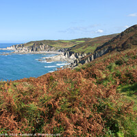 Buy canvas prints of Bull Point from Morte Point, North Devon by David Morton