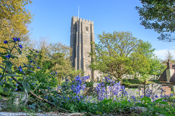 St George's Church with Bluebells Picture Board by David Morton