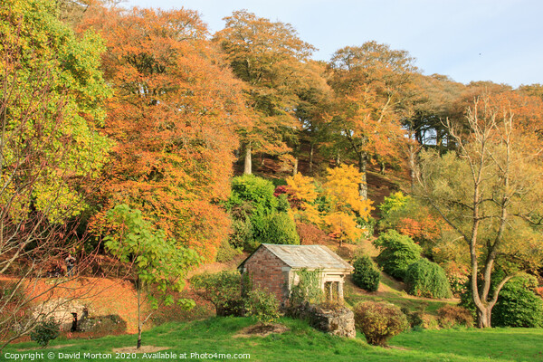 Autumn Colours at Castle Hill Picture Board by David Morton