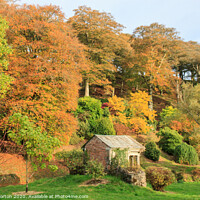Buy canvas prints of Autumn Colours at Castle Hill by David Morton