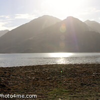 Buy canvas prints of The Five Sisters of Kintail across Loch Duich by David Morton