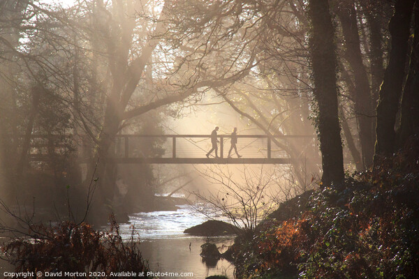 Footbridge Across River Teign Picture Board by David Morton