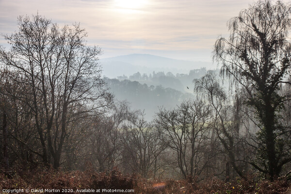 View of Dartmoor across the Teign Valley from Castle Drogo in November Picture Board by David Morton