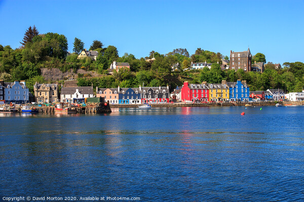 Tobermory on the Isle of Mull Picture Board by David Morton